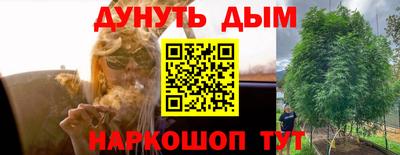 дмт Пыть-Ях
