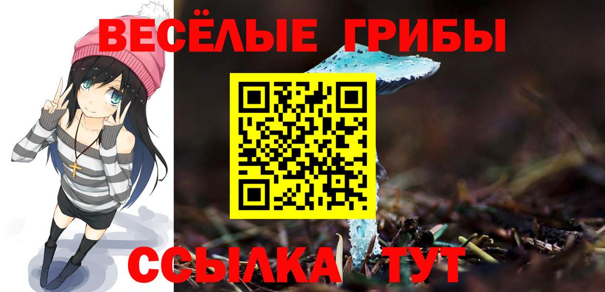 Галлюциногенные грибы GOLDEN TEACHER  Вход с VPN  Тольятти 